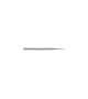 FERRETTO MANICURE CON PUNTA DRITTA SEMPLICE