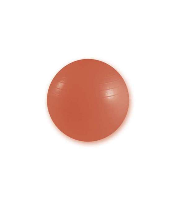 PALLA DA GINNASTICA RESISTENTE PER ALLENAMENTO E FISIOTERAPIA - ARANCIONE Ø 55cm