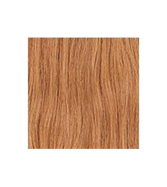 EXTENSION BIADESIVE Capelli naturali 10 ciocche LISCI - colore C 27
