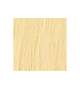 EXTENSION BIADESIVE Capelli naturali 10 ciocche LISCI - colore C 20