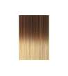 EXTENSION BIADESIVE Capelli naturali 10 ciocche LISCI OMBRÈ - colore C 17/26