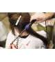 FERRO ARRICCIACAPELLI 9mm PER RICCI PICCOLI E STRETTI FRIZZY CURLER UPGRADE