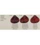 TINTA COLORPLEX Vegetal Keratin RAYWELL 100ml - Scegli Colore