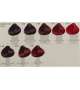 TINTA COLORPLEX Vegetal Keratin RAYWELL 100ml - Scegli Colore