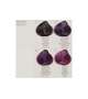 TINTA COLORPLEX Vegetal Keratin RAYWELL 100ml - Scegli Colore