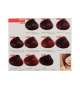 TINTA VITAMIN COLOR C+ Plus RAYWELL 100ml - Scegli Colore