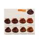 TINTA VITAMIN COLOR C+ Plus RAYWELL 100ml - Scegli Colore