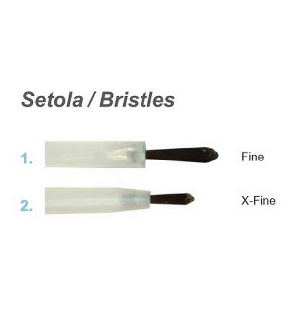 PENNELLINI MONOUSO in Setola 100pz DENTAL WORLD - Scegli la Misura