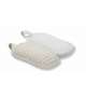SPUGNA ABRASIVA PICCOLA CM13X8X3H BENESSERE