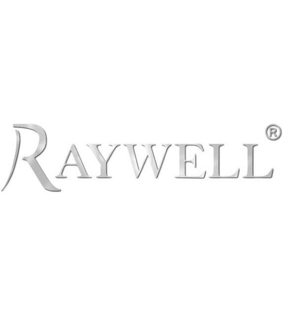 POSTER PROMOZIONALI RAYWELL
