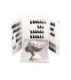 CARTELLA COLORI TINTA Perlacolor Classic OYSTER 93 nuances G