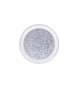 POLVERE GLITTER PER DECORAZIONE UNGHIA 15 GR - COLORE ARGENTO