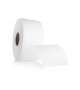 ROTOLO SWIFT PER MECHES PRETAGLIATO A 30 CM