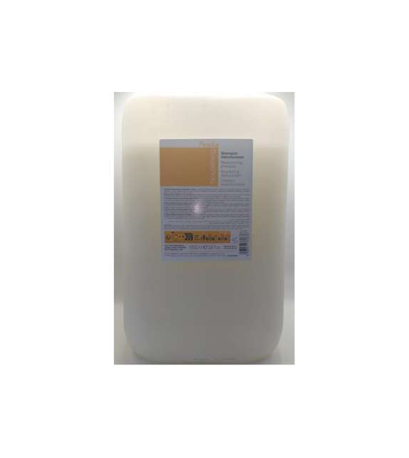 FANOLA SHAMPOO RISTRUTTURANTE NOURISHING NUTRI CARE TANICA 10 LT