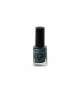 COLLECTION SMALTO LACCATO 10 ml - 43