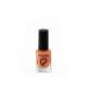 COLLECTION SMALTO LACCATO 10 ml - 51