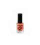 COLLECTION SMALTO LACCATO 10 ml - 53